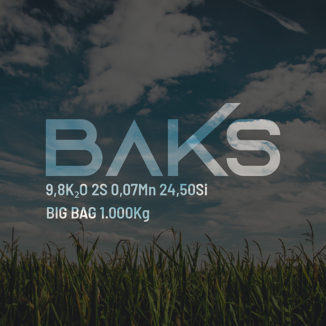 BAKS 9,8K2O 2S 0,07Mn 24,50Si - Big Bag - 0